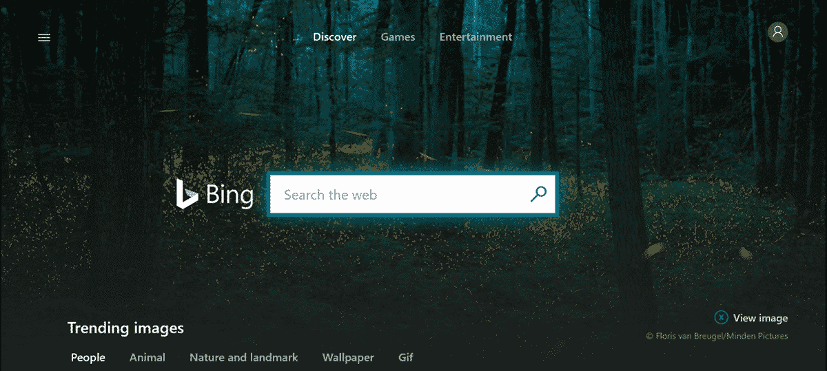 Xbox One Gets Bing Web Search