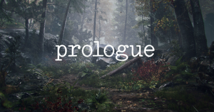 Playerunknown novo jogo