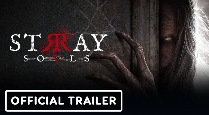Stray Souls ganha janela de lançamento no Xbox