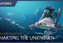 Pearl Abyss revela trailer da DLC do Crimson Desert A Pearl Abyss divulgou um trailer de seis minutos apresentando os principais recursos da Charting the Unknown, uma DLC do Crimson Desert.
